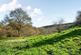 Additional image 33 of Bere Peninsula, West Devon