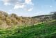 Additional image 34 of Bere Peninsula, West Devon
