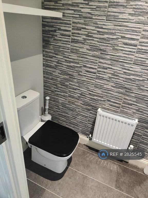 Cloak Toilet