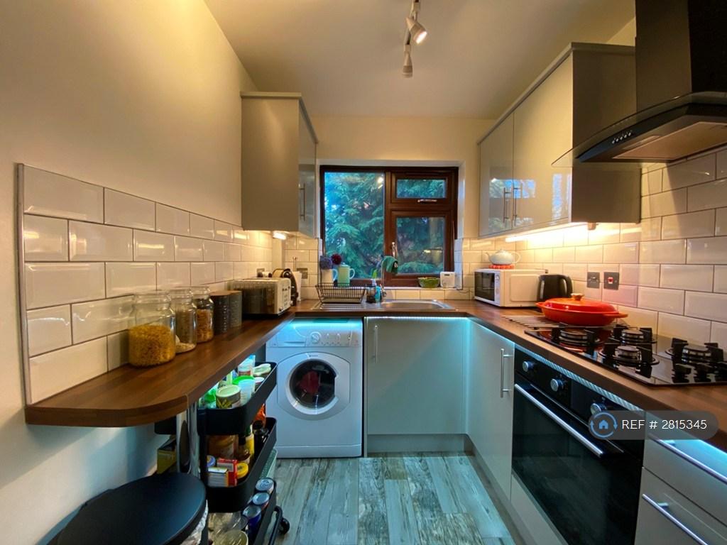 Modern Kitchen