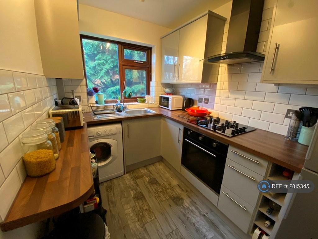 Modern Kitchen