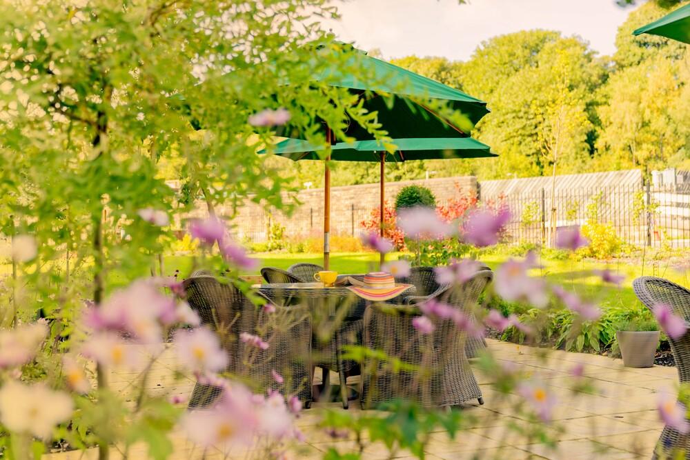 Garden and exterior
