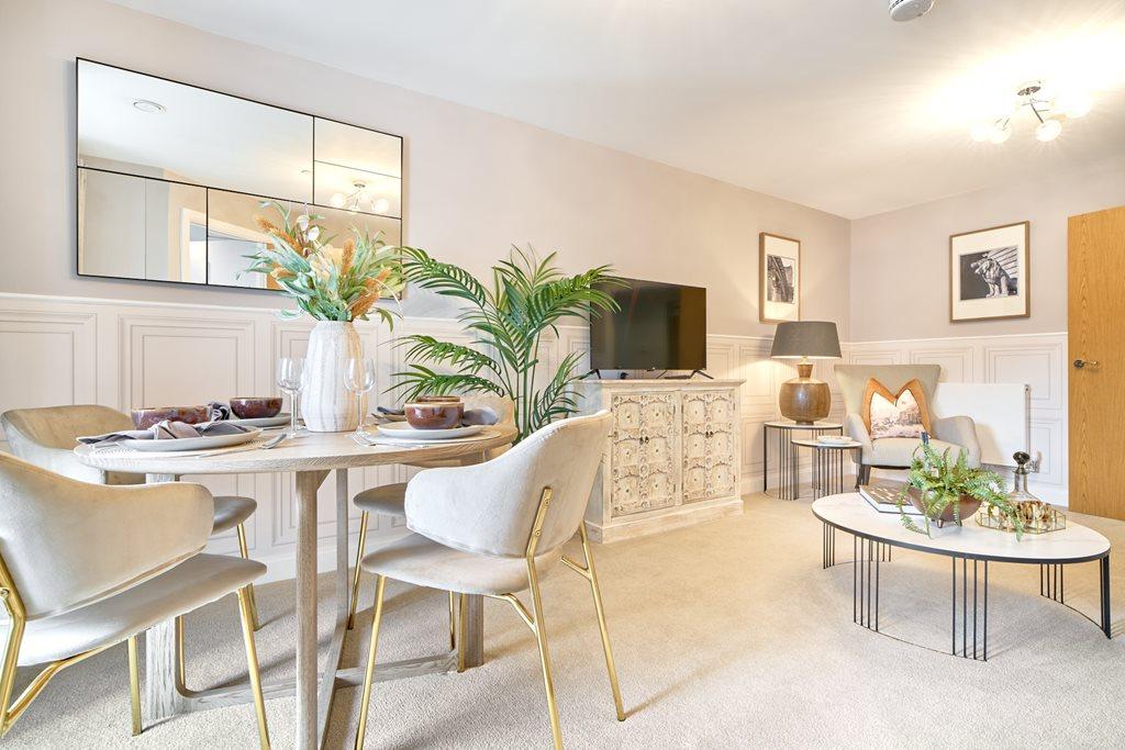 Show home living room