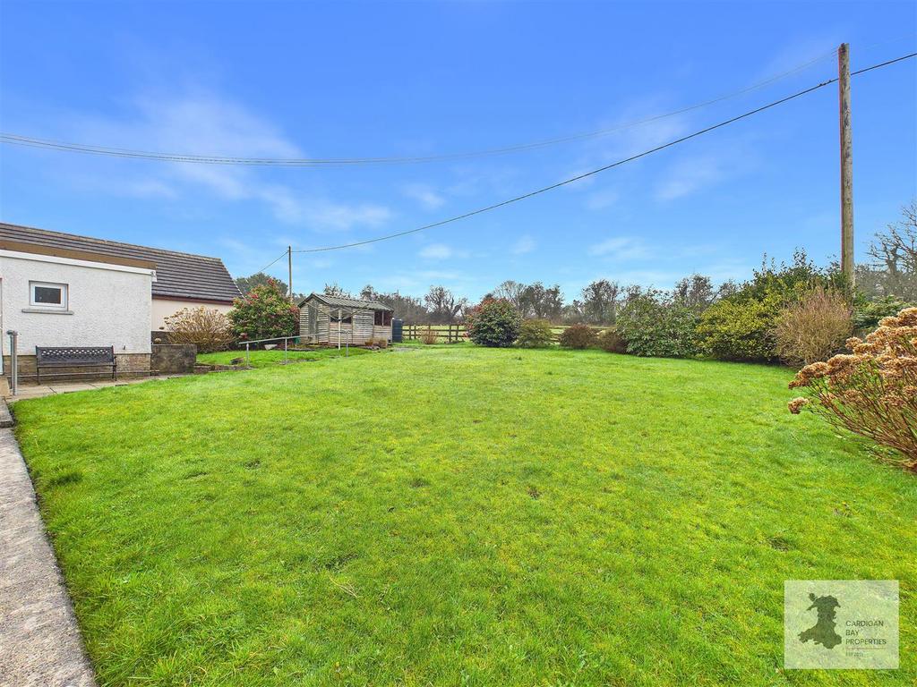 Back garden