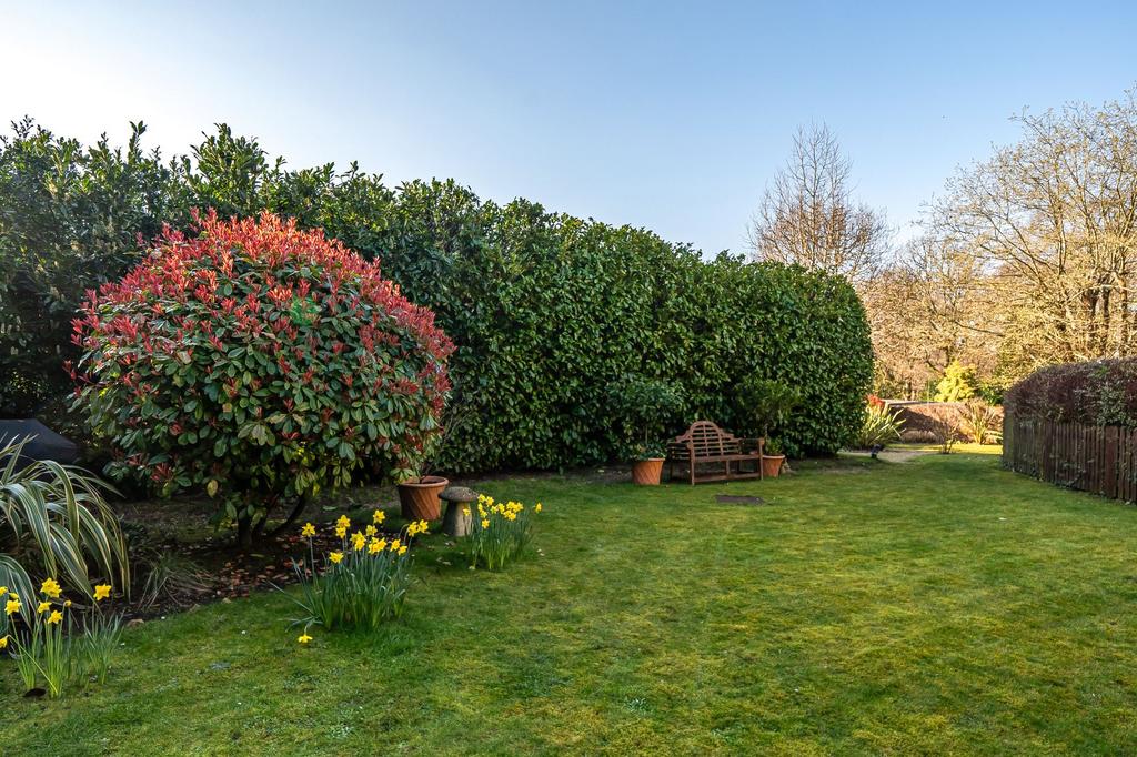 Communal Gardens