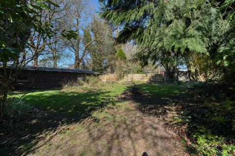 undefined, Ivy Cross, Shaftesbury