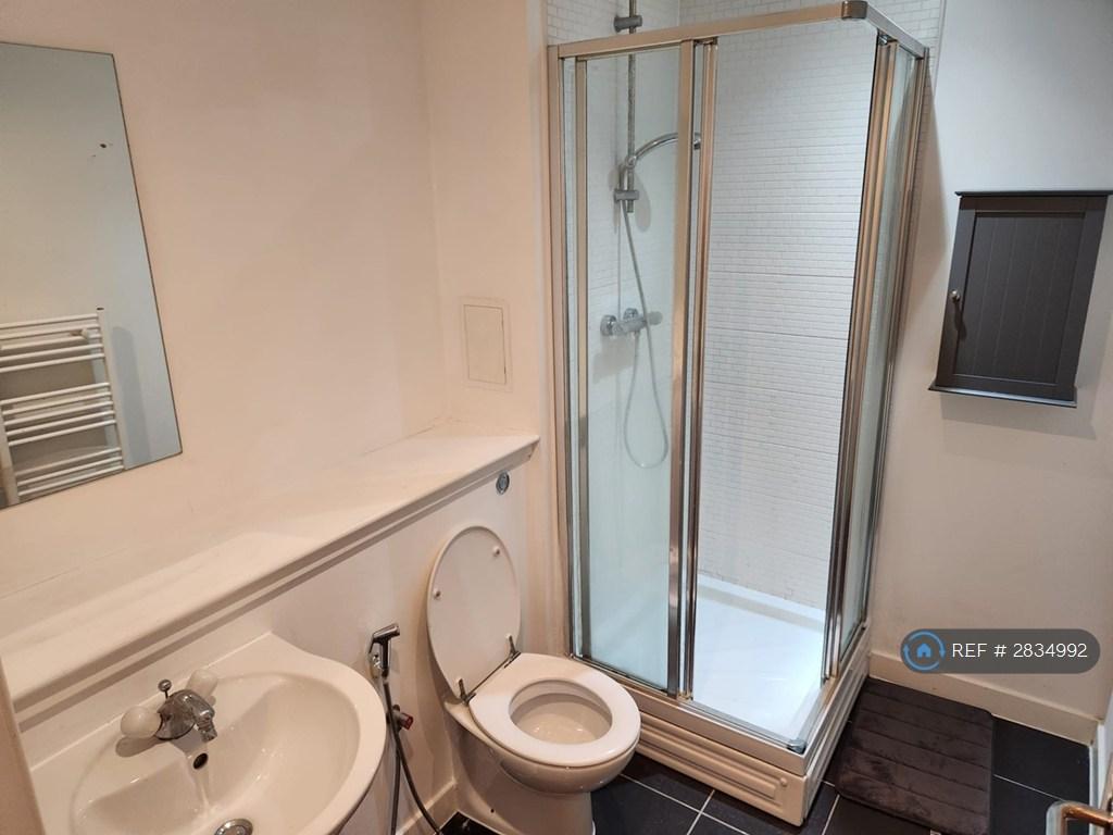 Ensuite Shower And Toilet