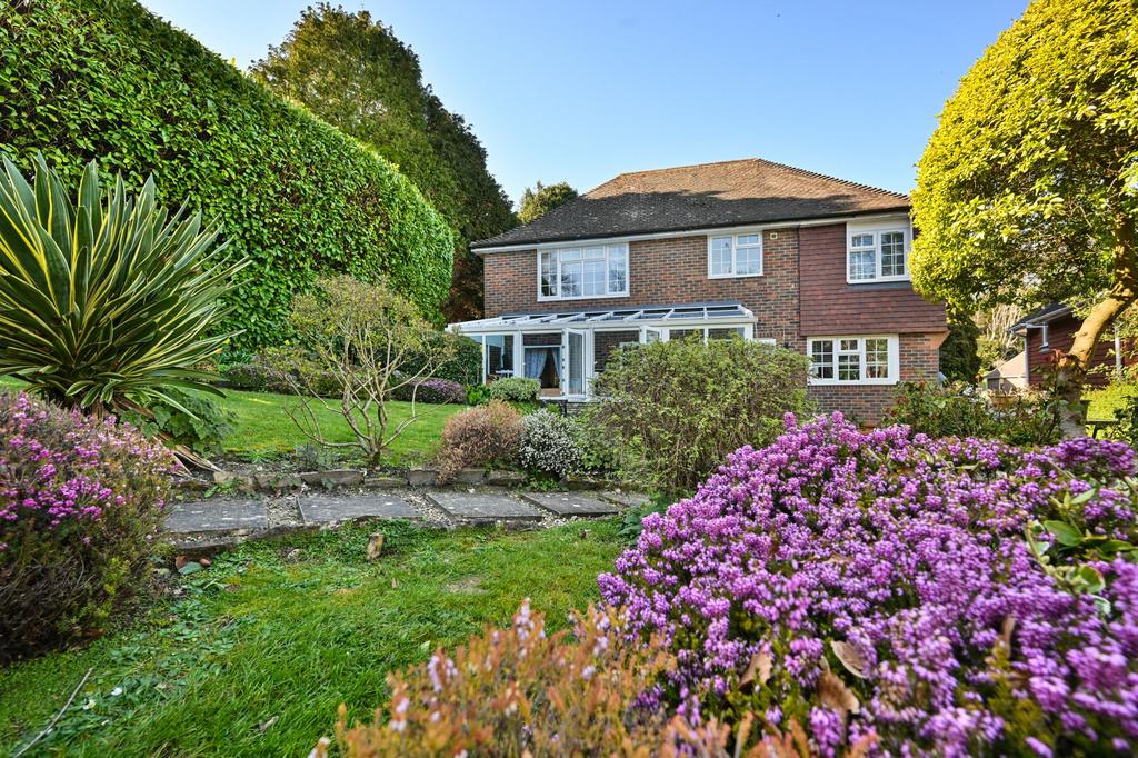 Rear Elevation 1