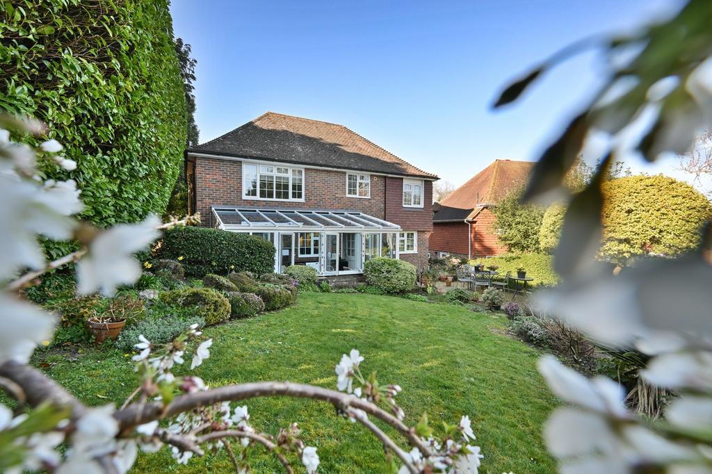 Rear Garden 1