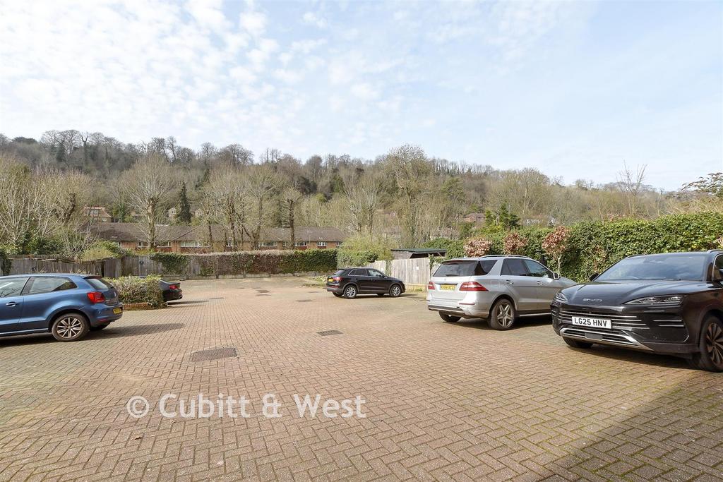 Driveway/Parking