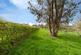 Additional image 13 of Willen Road, Newport Pagnell, Buckinghamshire, MK16