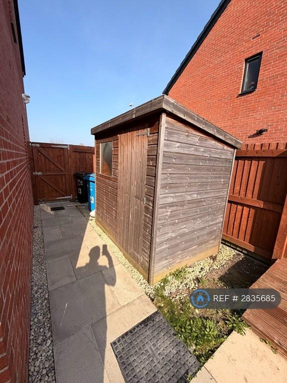 Rear Garden - Shed
