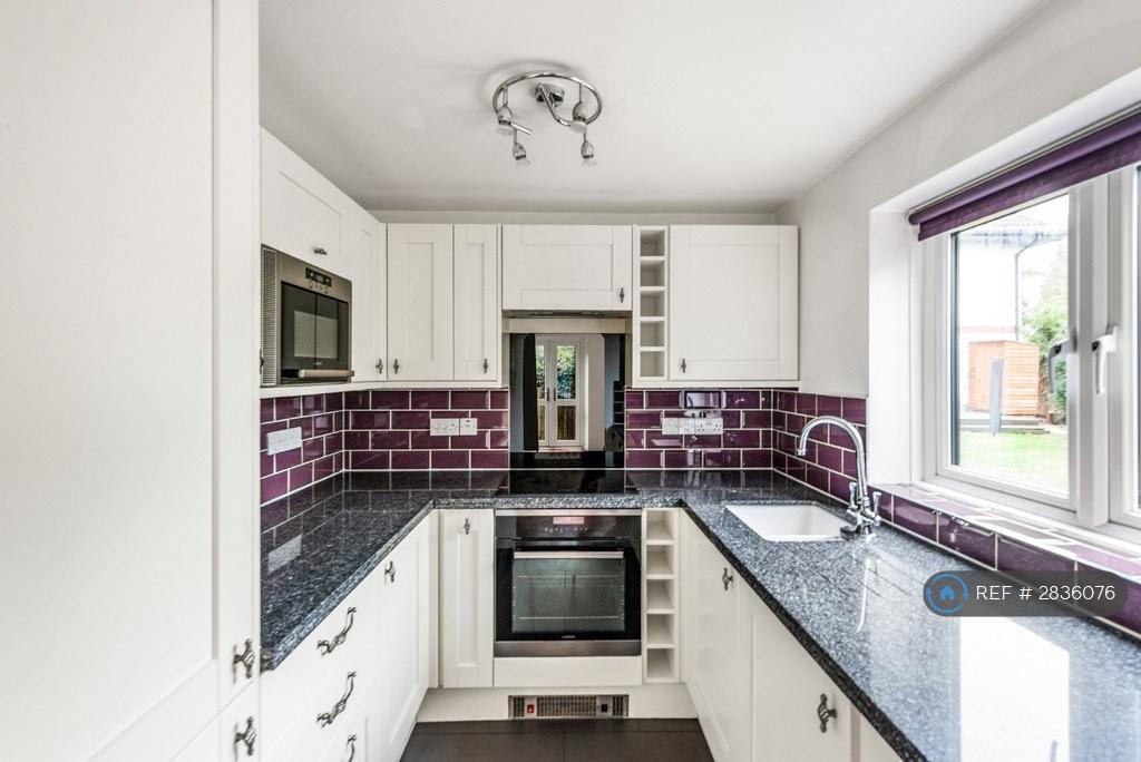 Modern Kitchen