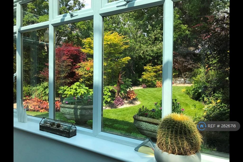 Garden From Consevatory