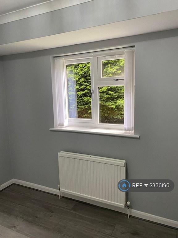 Downstairs Room