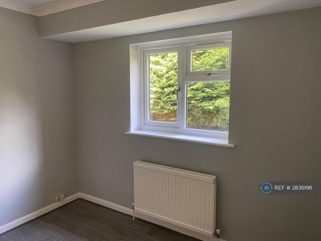 Downstairs Room
