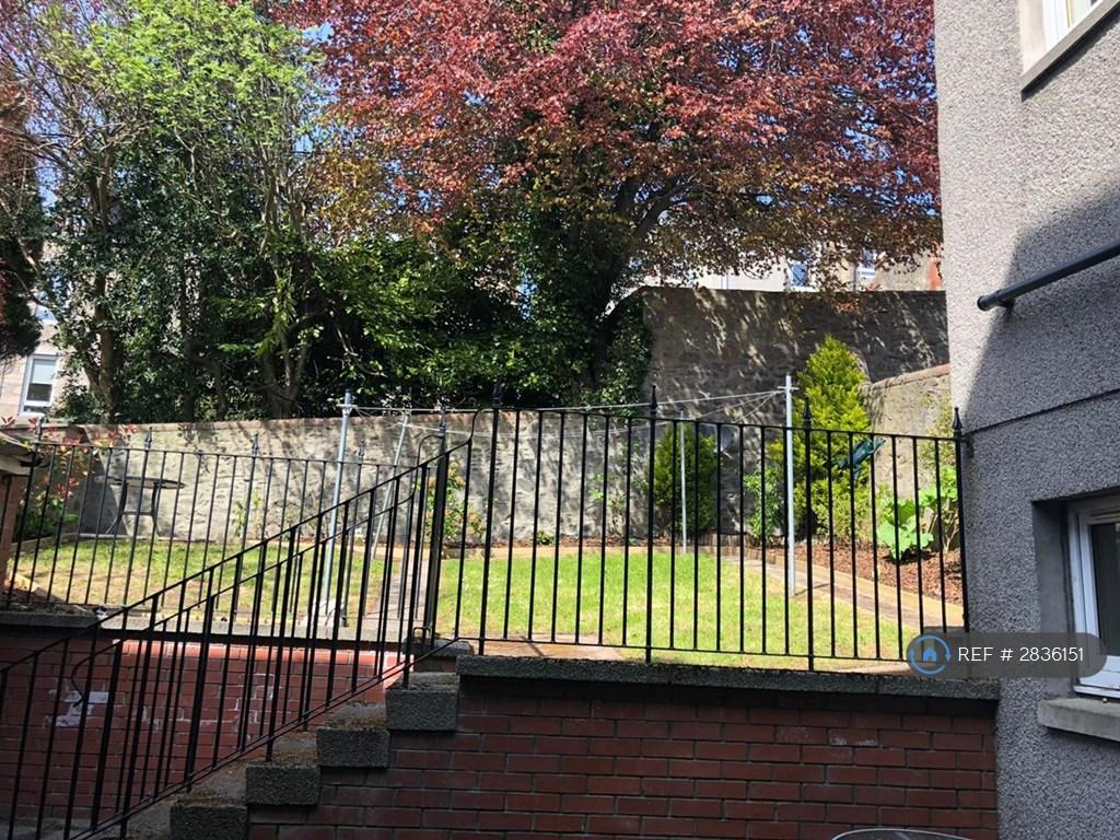 Garden View From Patio Area
