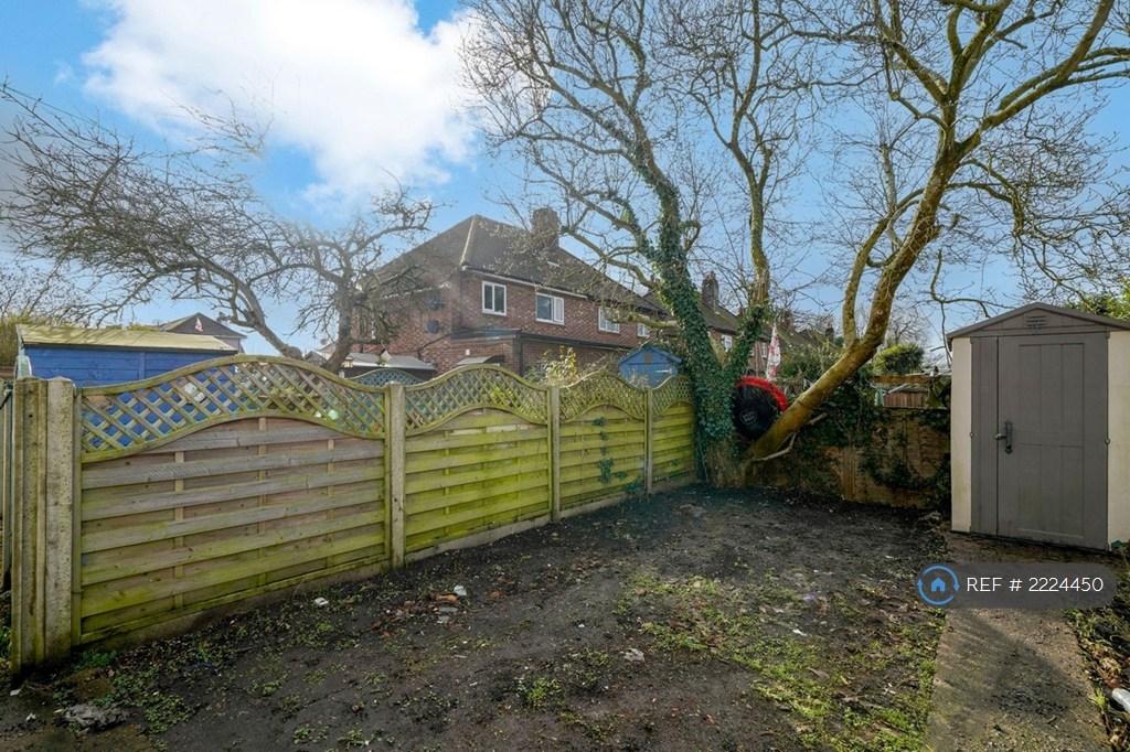 Back Garden With Shed