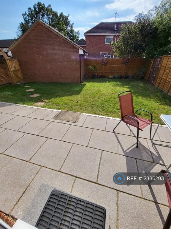Back Garden (Pic 1)