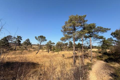 undefined, Land to the North of the A35, Land to the West of Roman Road, Upton Heath, Corfe Mullen, Dorset, BH16 5QW