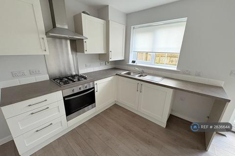 3 bedroom semi-detached house to rent, Tennyson Drive, Bispham, FY2