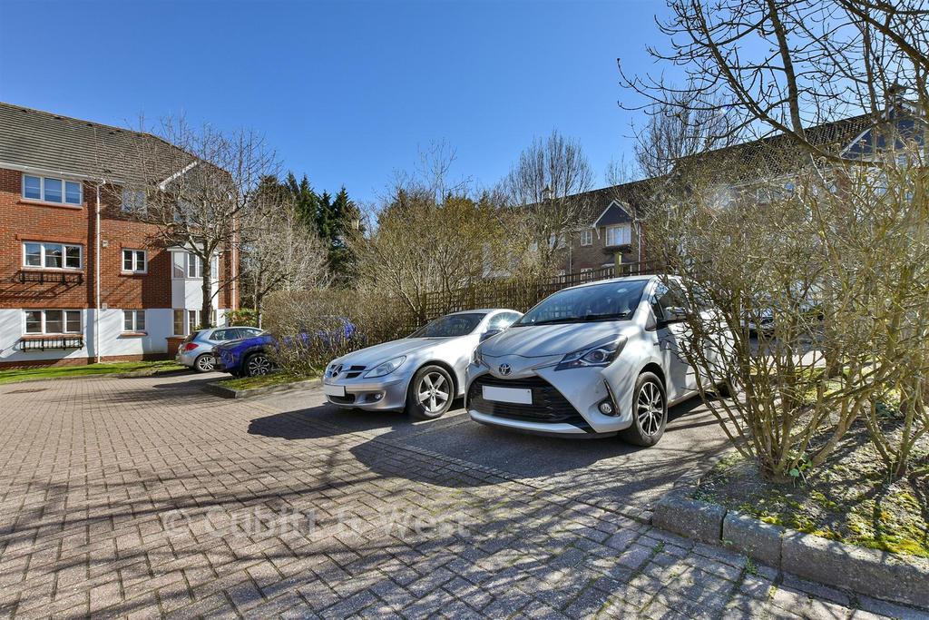 Driveway/Parking
