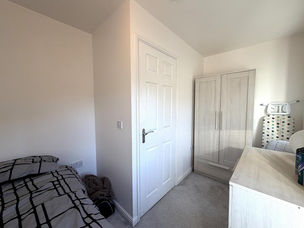 Picture 11