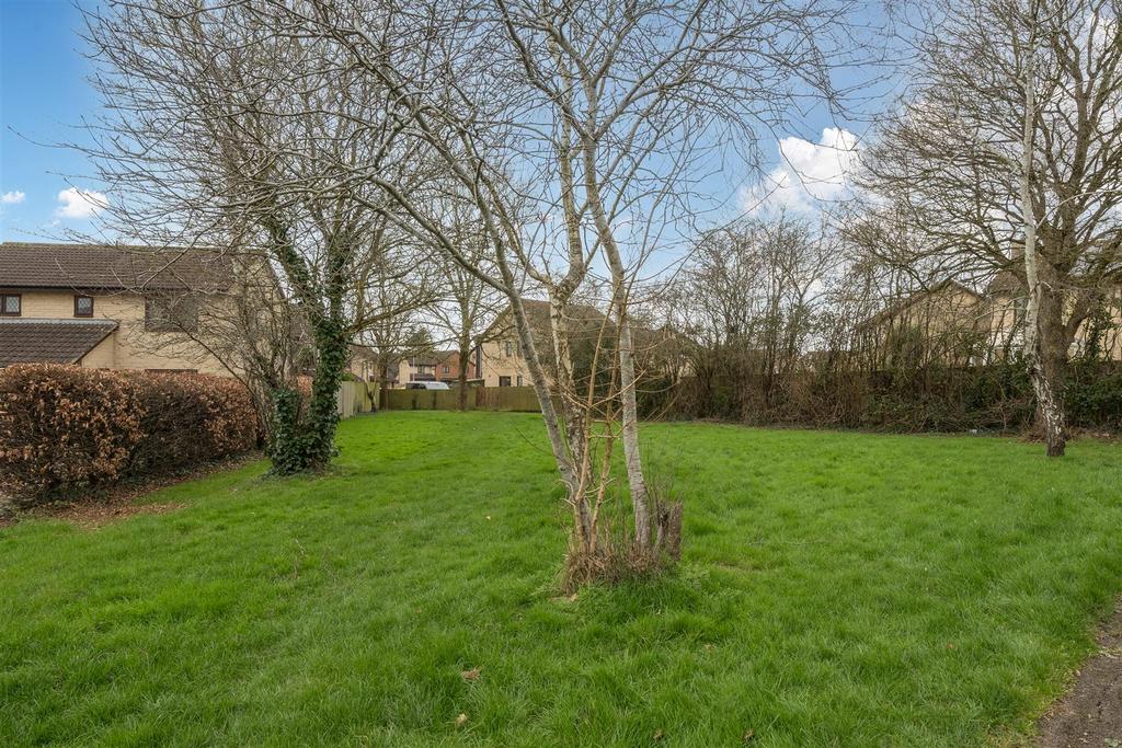 Green Space Next To Property