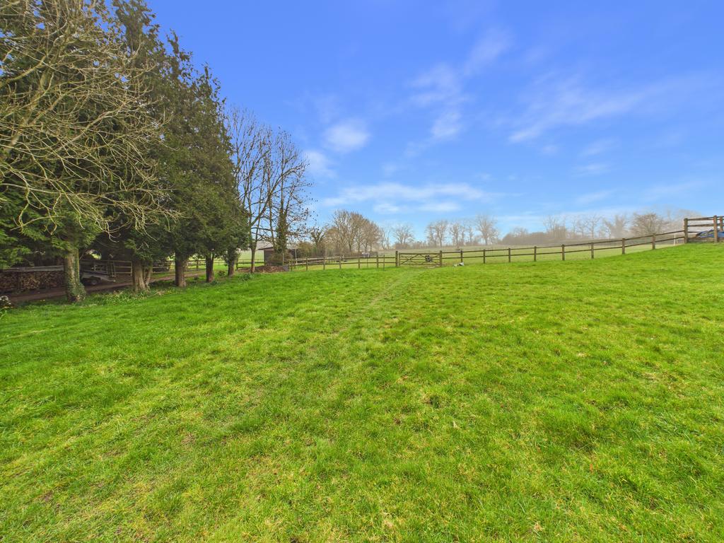 Front Paddock