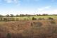 Additional image 20 of Beech Wood Drive, Tonyrefail, Porth