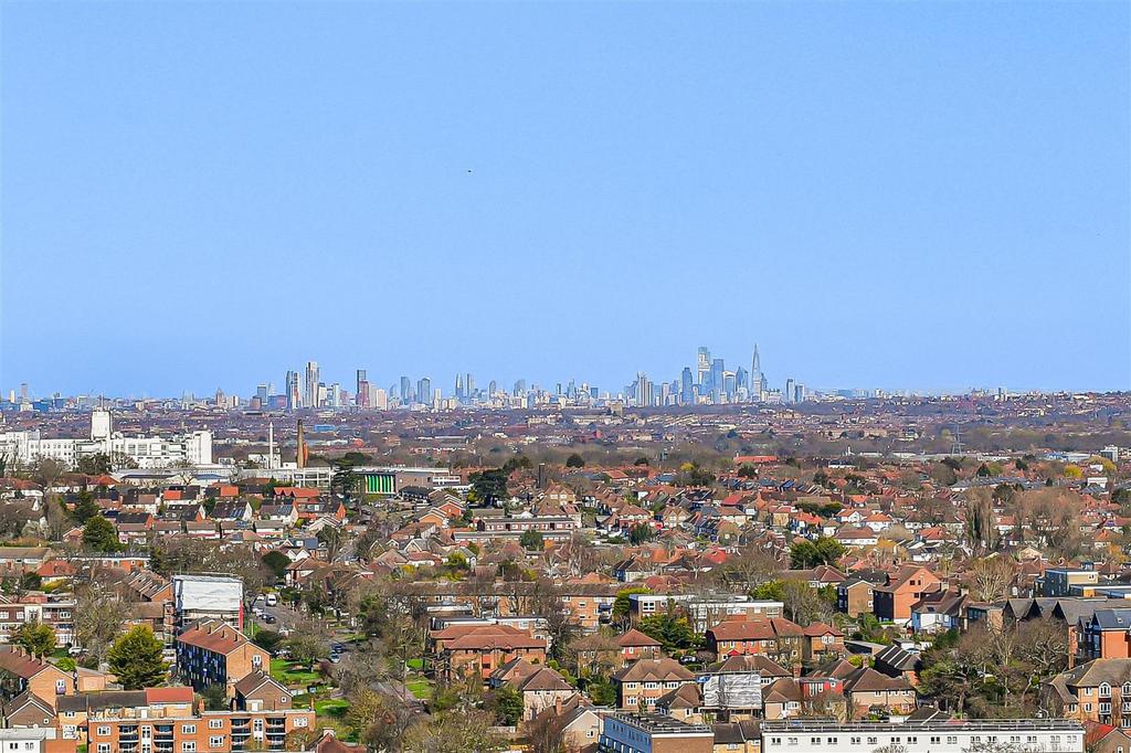 4 75366.jpg