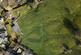 Additional image 59 of Ripponden Old Bank, Sowerby Bridge HX6