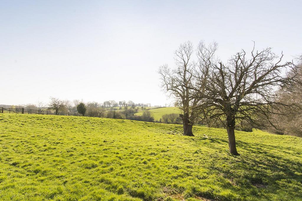Countryside Views