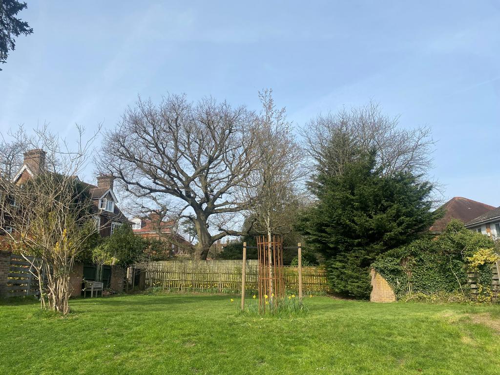 Communal Garden