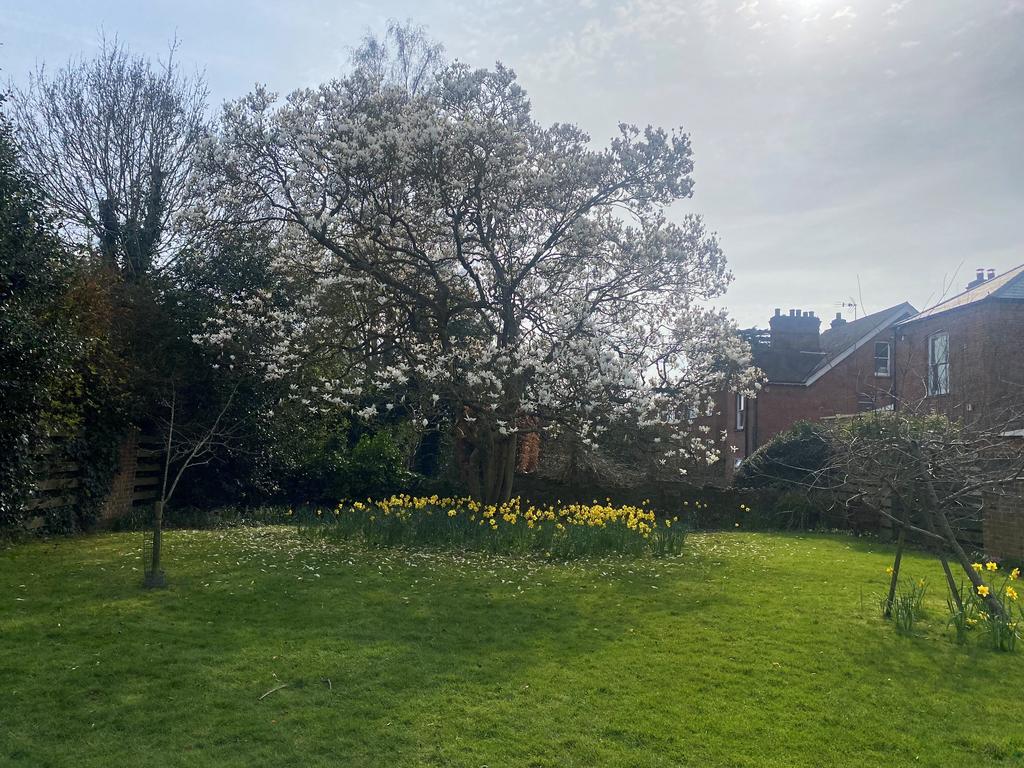 Communal Garden