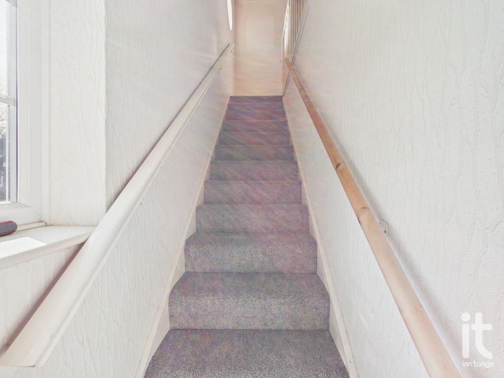 Photograph 5