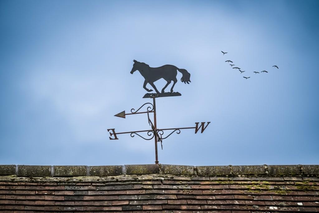 Ridgeways-106.jpg