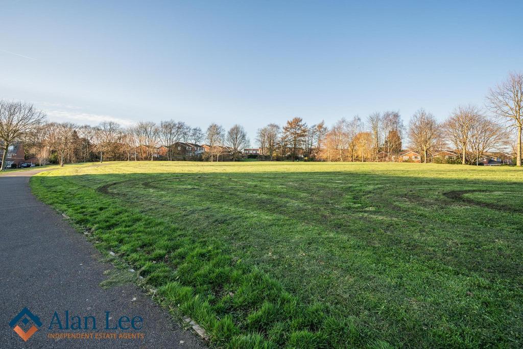 Local playing field
