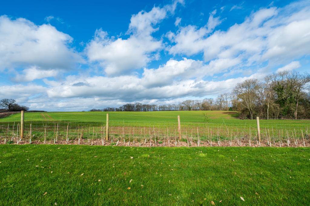 Picture No. 07
