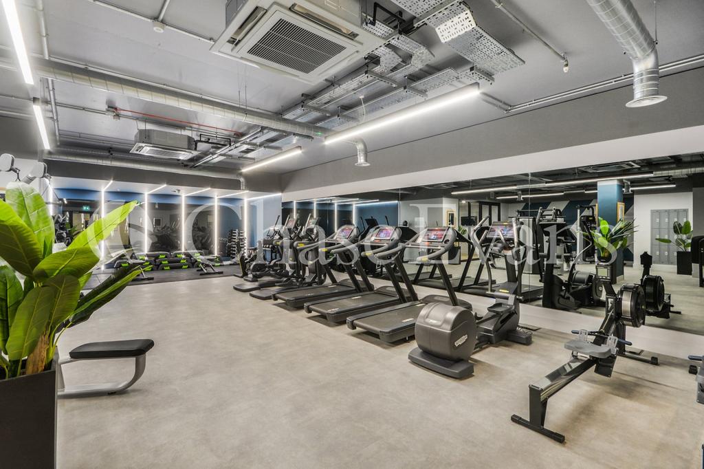 Gymnasium