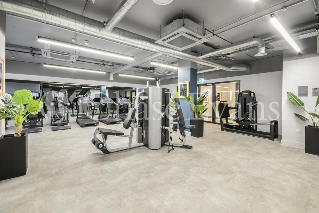 Gymnasium