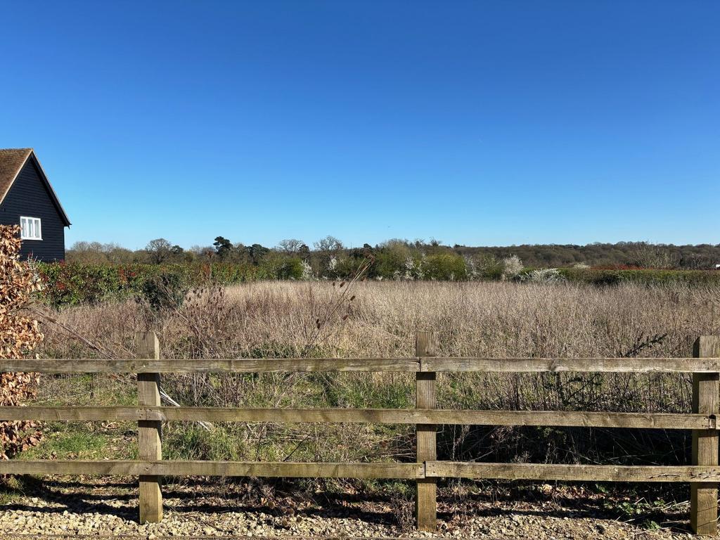 Plot and Views