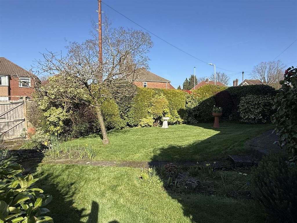 Garden1.JPG