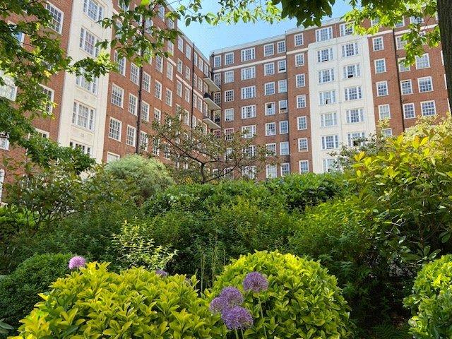 Courtyard Shared Gdn