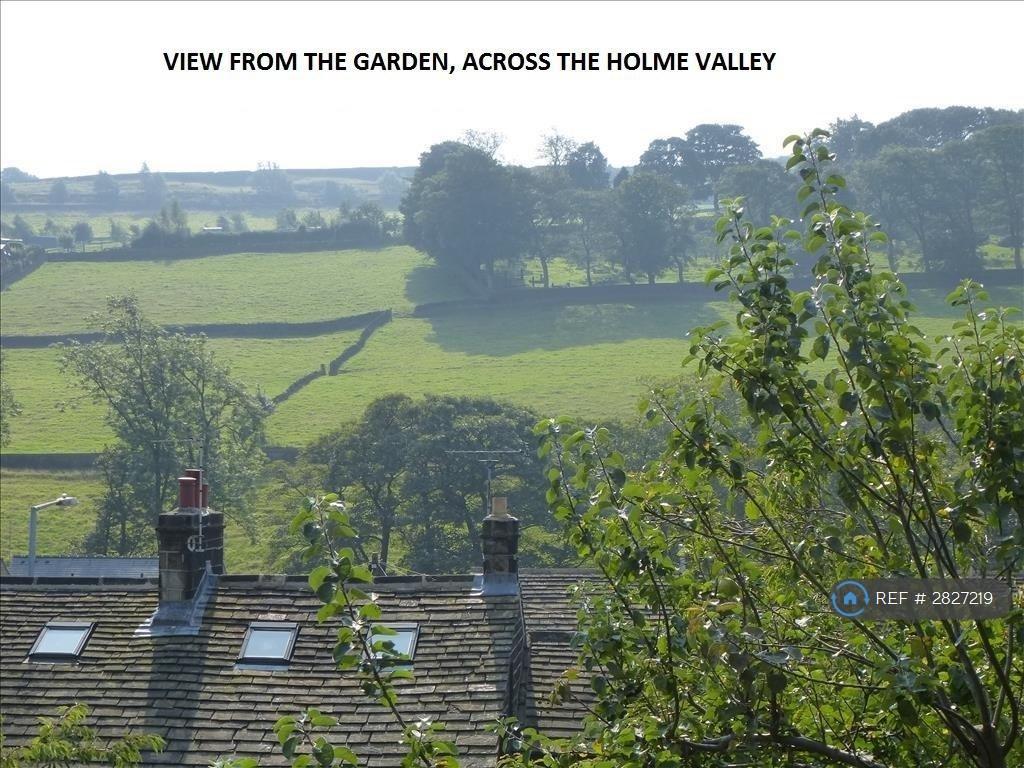 View From Garden