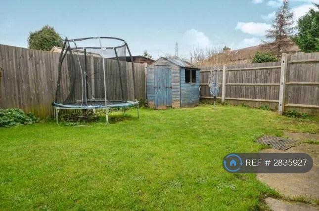 Back Garden