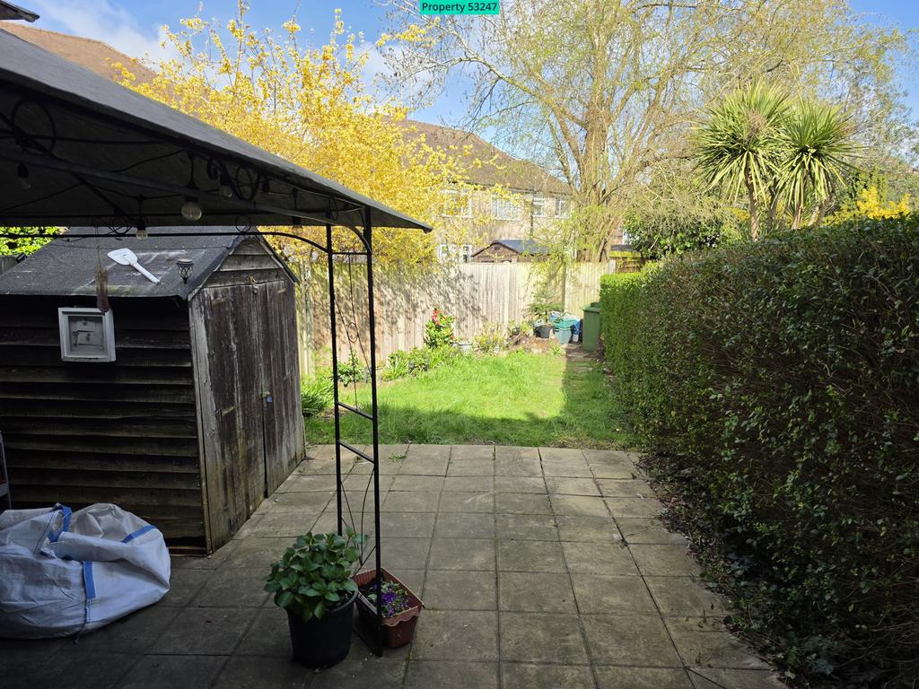 Back Yard
