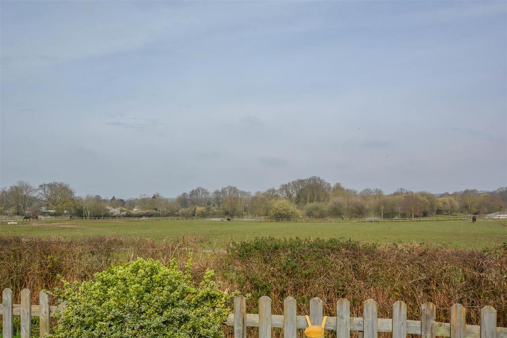 DSC 0878.jpg