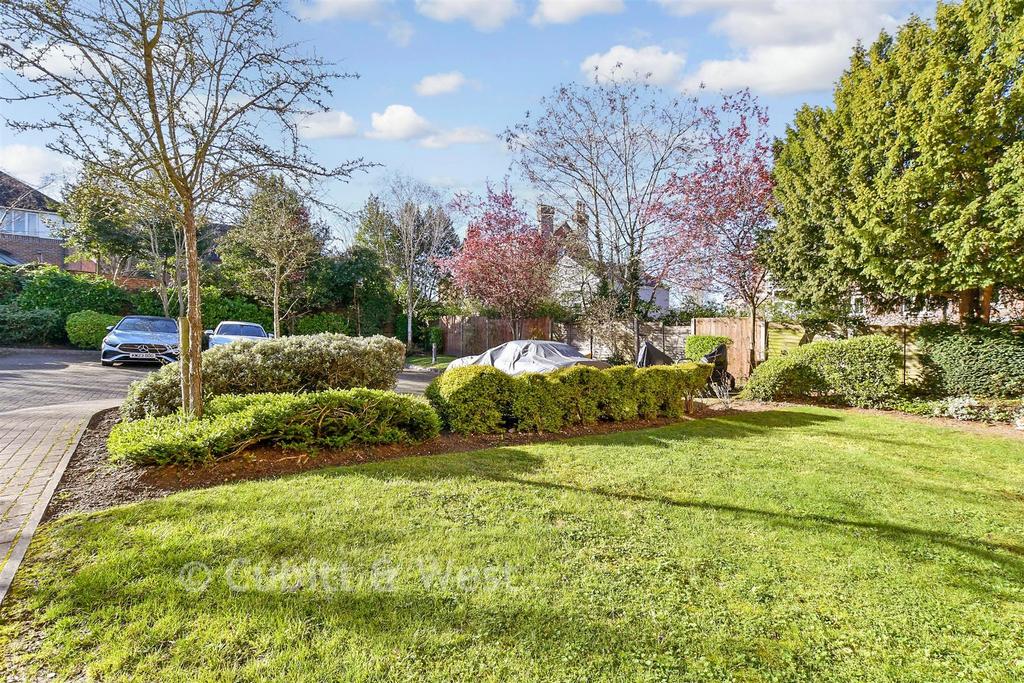 Communal Gardens