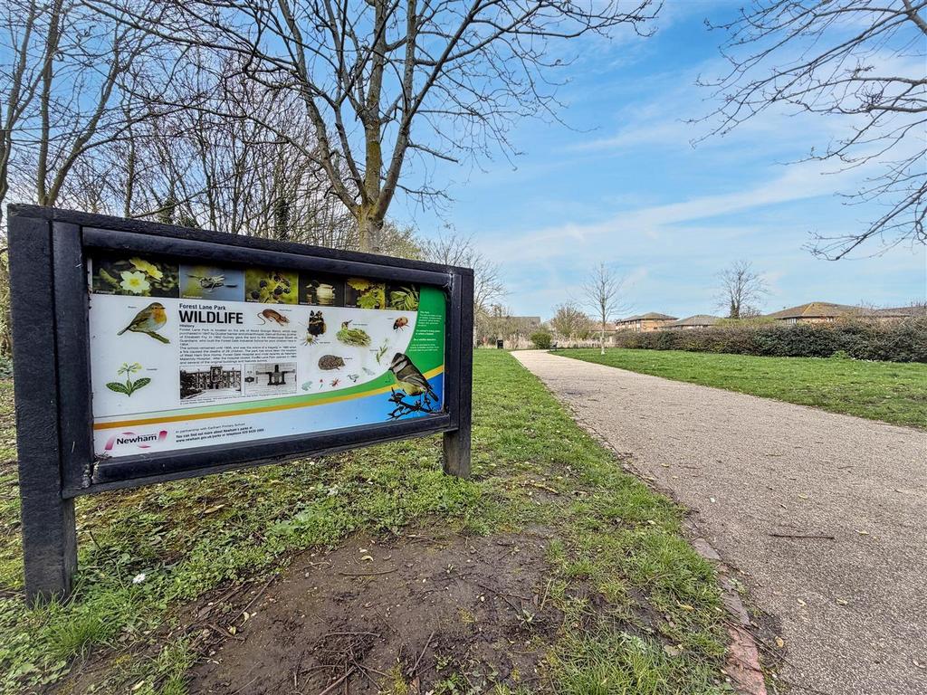 Forest Lane Park